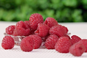 红色覆盆子浆果摄影图片